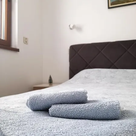 Radovanovic 公寓 *