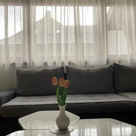 Radovanovic 公寓 兹拉蒂博尔