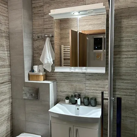 Radovanovic 公寓 *