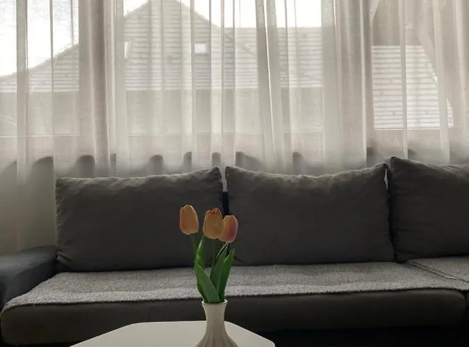 Radovanovic Апартаменты Златибор